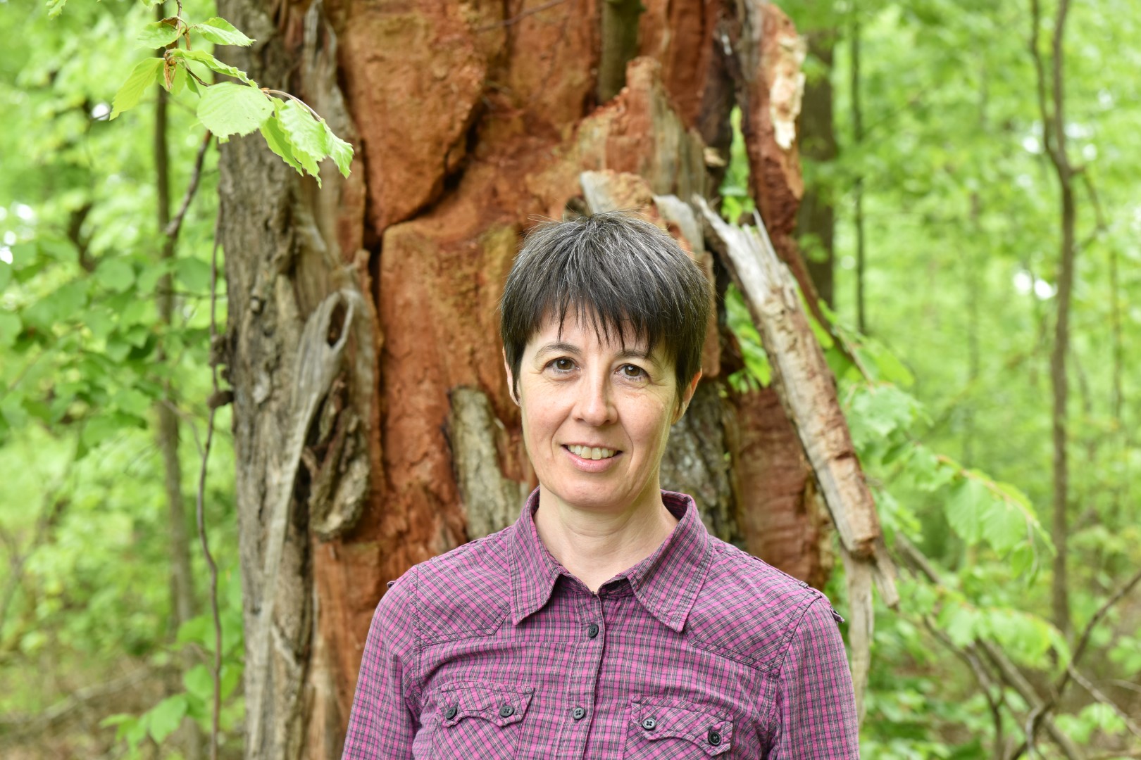 FSC_CH_MV_2019_Evelyn-Coleman